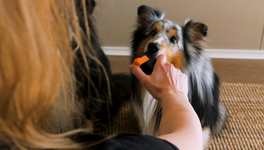 Dog Training vs. Dog “Treat-ment”