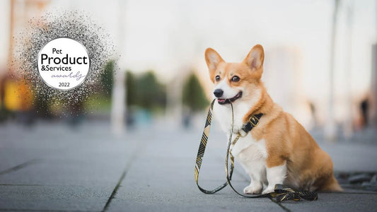 The Best Pet Product 2022