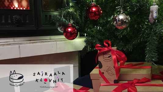 Together, let's bring joy, laughter, and happiness to children in hospitals!