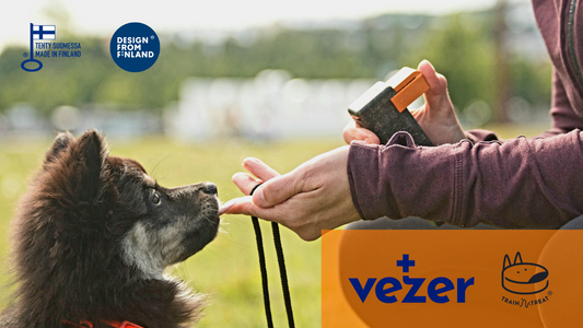 Train'N'Treat Vezer hunting dog training puppy USA