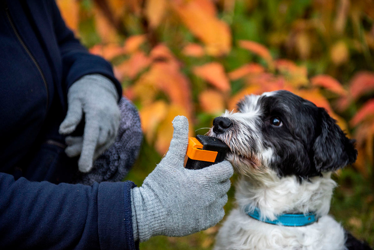 Dog clicker treat dispenser best sale