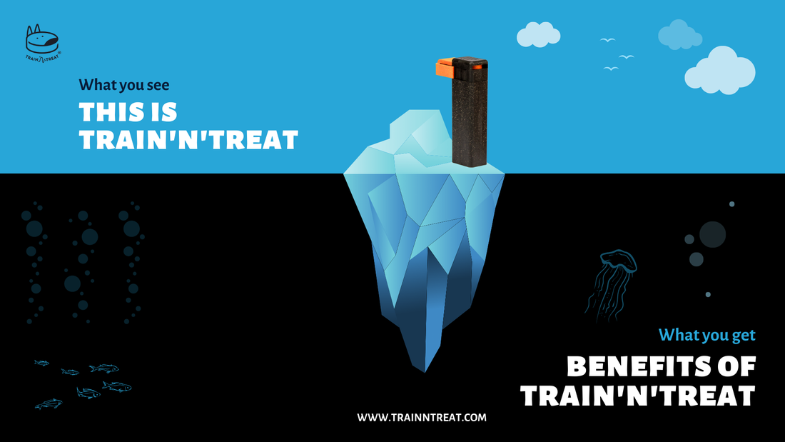 The Best Dog Training Tool – Save Money, Time and Nerves