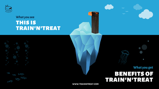 The Best Dog Training Tool – Save Money, Time and Nerves
