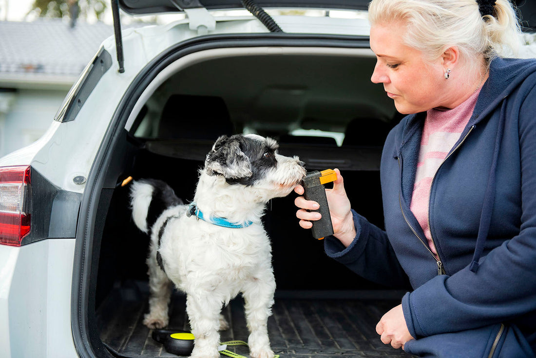 The Best Dog Training Tool is Fun, Safe and Easy to Use
