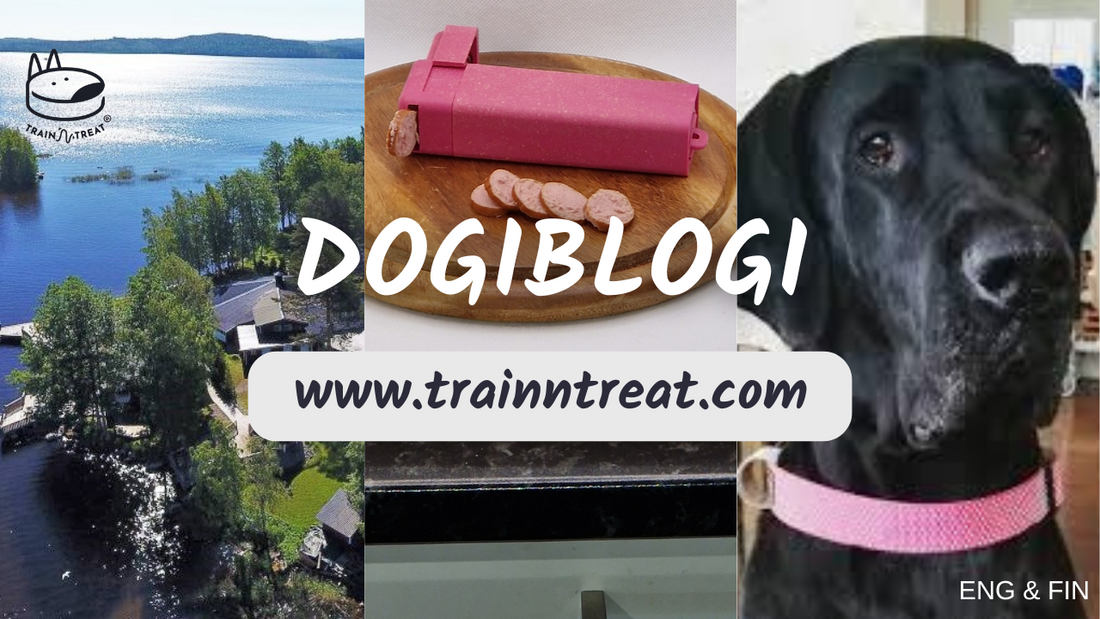 Travelling with dogs in Finland