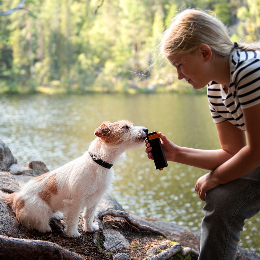 What Makes a Good Dog? 8 Behavior Traits Every Dog Owner Loves