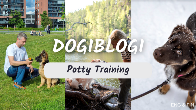 Puppy Potty Training: A Complete Guide for New Dog Owners