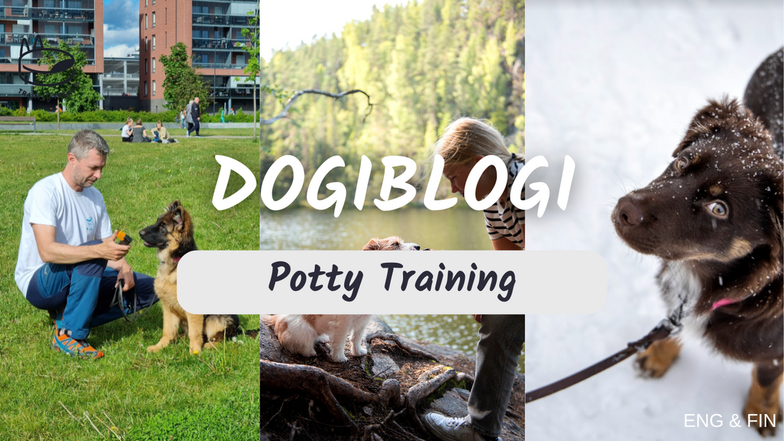 How to Potty Train a Puppy – Complete House Training Guide