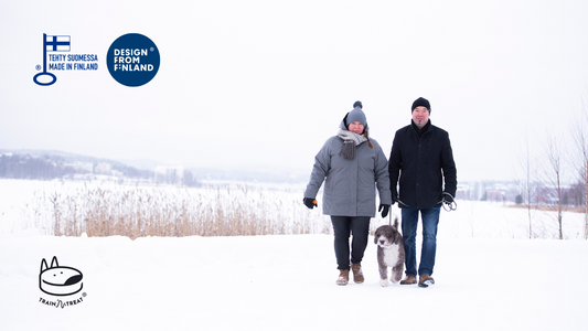 Celebrating 4 Years of Innovation: Sidebay Oy's Train'N'Treat Revolutionizes Daily Dog Life