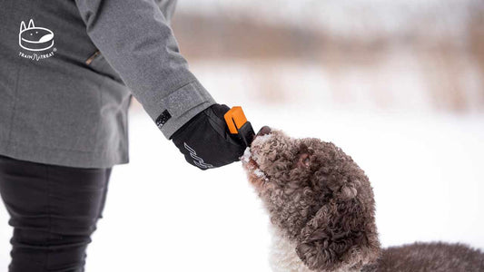 Customer Survey Reveals Why Dog Owners Love Train'N'Treat Training Tool