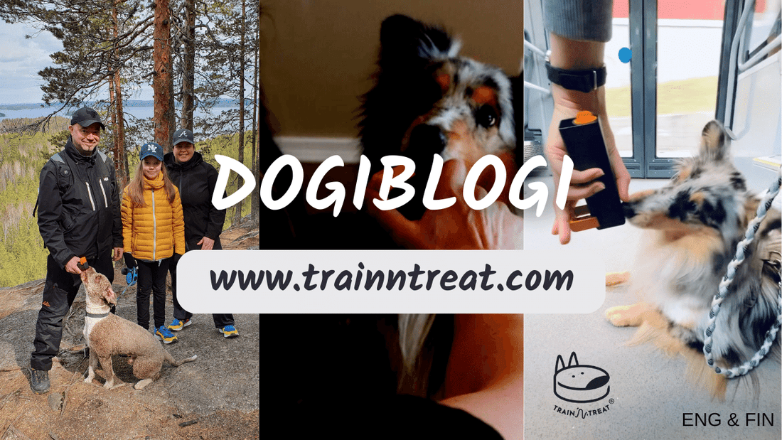 Train'N'Treat is the Ultimate Training Tool for Your Puppy