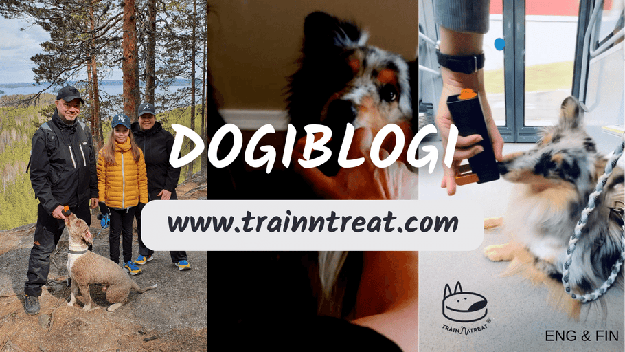 Train'N'Treat on ylivoimainen apuväline koiranpennun kouluttamiseen