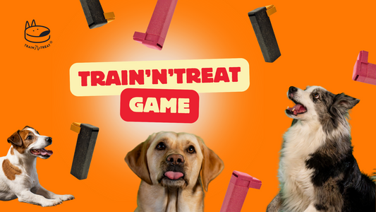 Make Dog Training a Game!