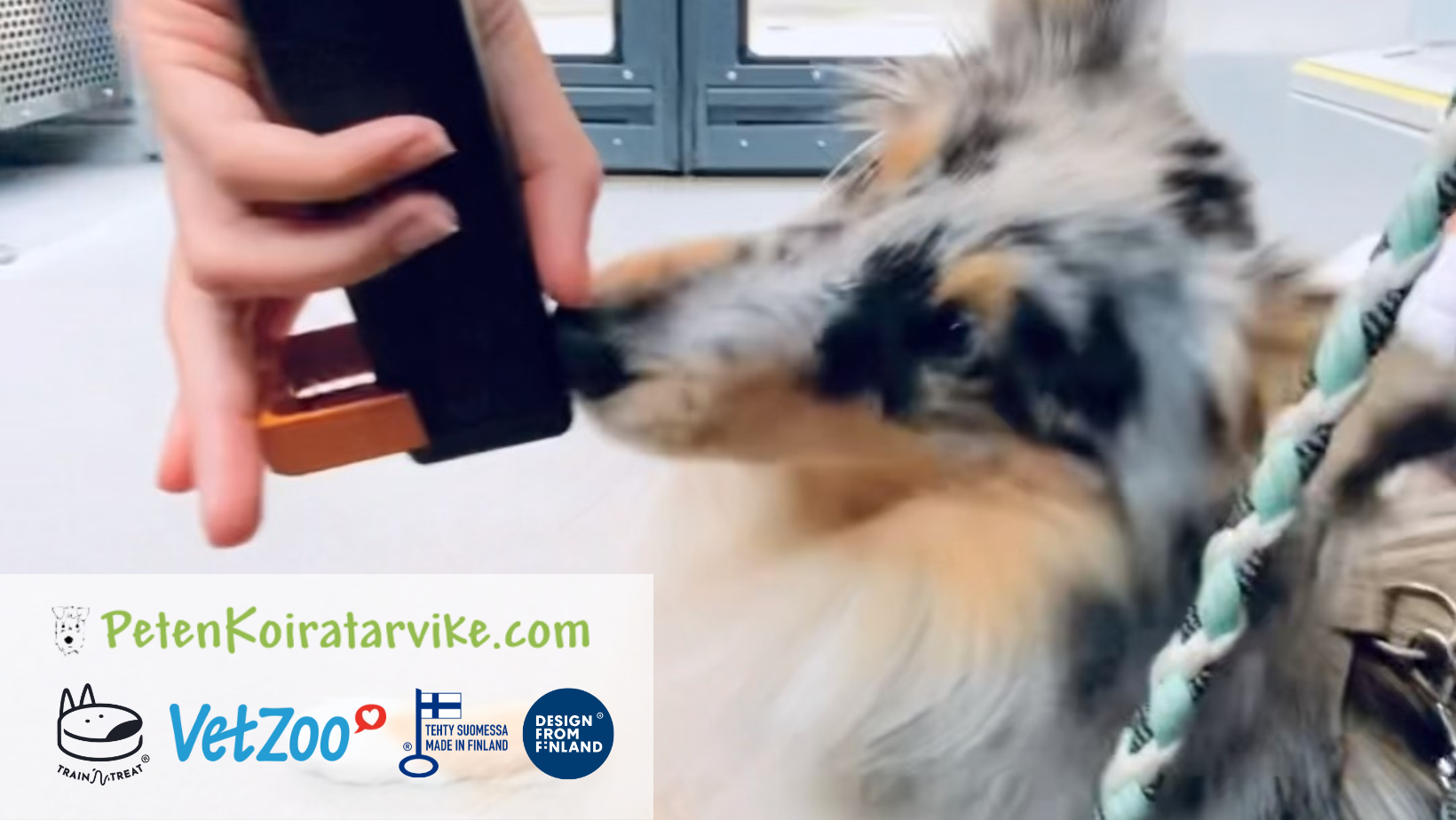 New co operation with Train N Treat Peten Koiratarvike and VetZoo