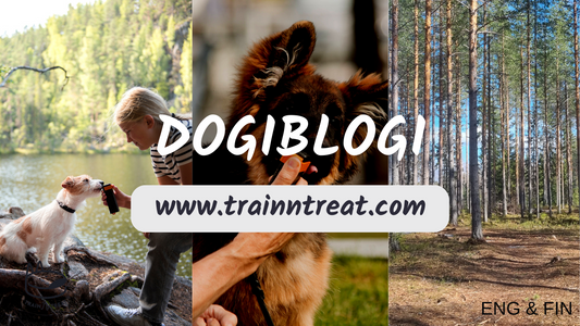 Train'N'Treat outdoor training koirametsä