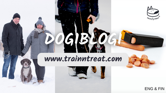 How to train your dog right?