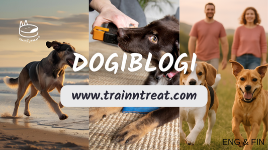 Dog Training vs. Dog “Treat-ment”
