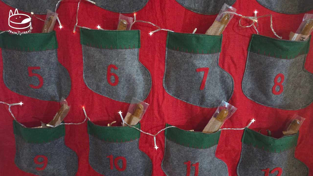 Christmas Calendar for Dog