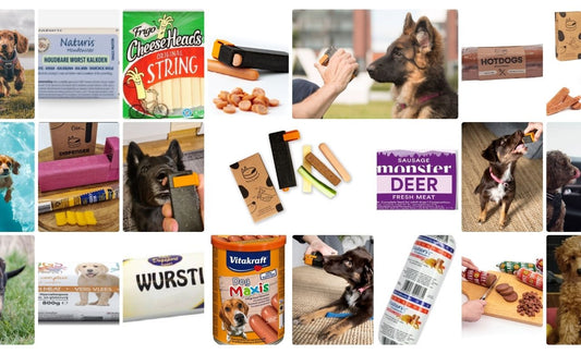 What Are the Best Treats for Dog Training? The Perfect Treats for Train'N'Treat