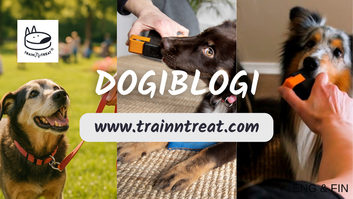Make Sure Your Dog Grows into a Happy and Well-Behaved Family Member