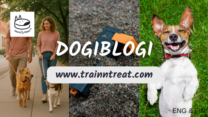 What Makes a Good Dog? 8 Behavior Traits Every Dog Owner Loves