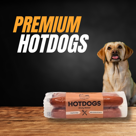 Christmas Present for Dog