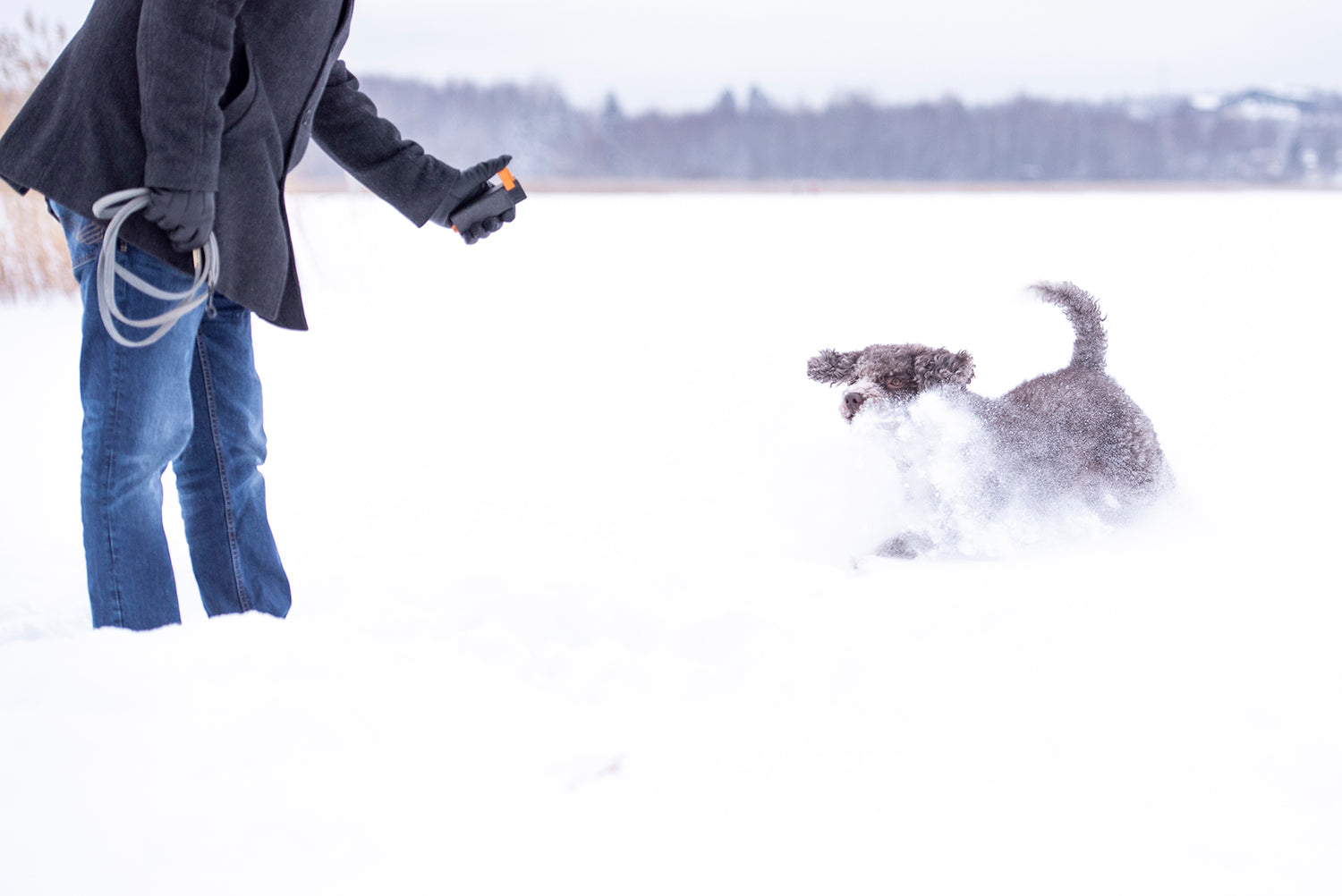 Train'N'treat treat dispenser. Design from Finland