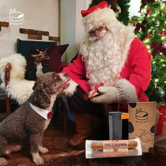 Christmas Present for Dog