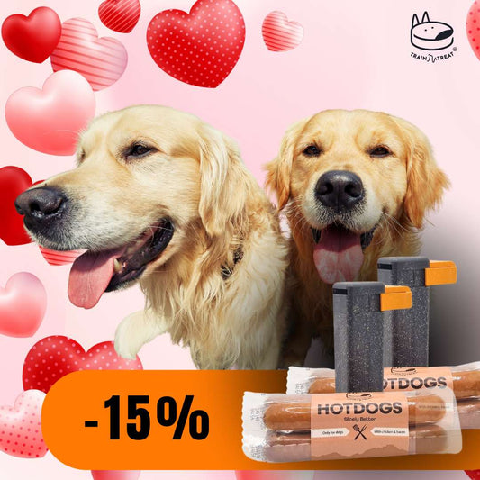 Valentine's Day SPECIAL